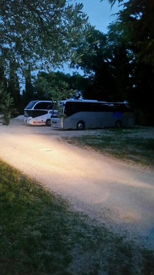 Assisi Garden image 14