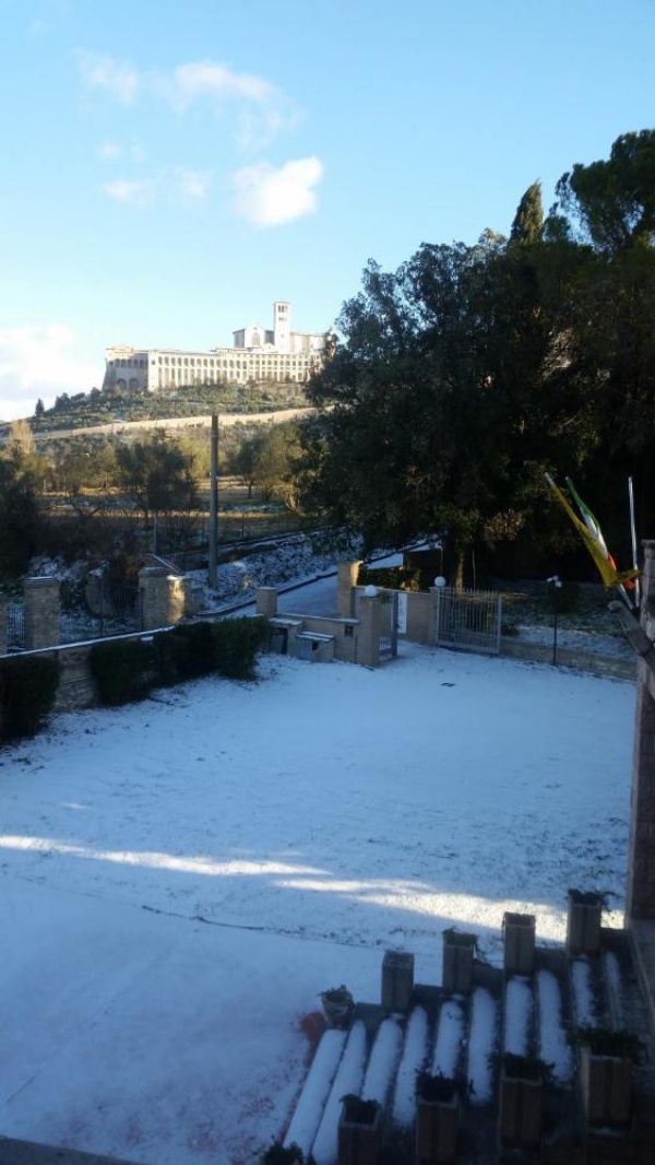 Assisi Garden image 20