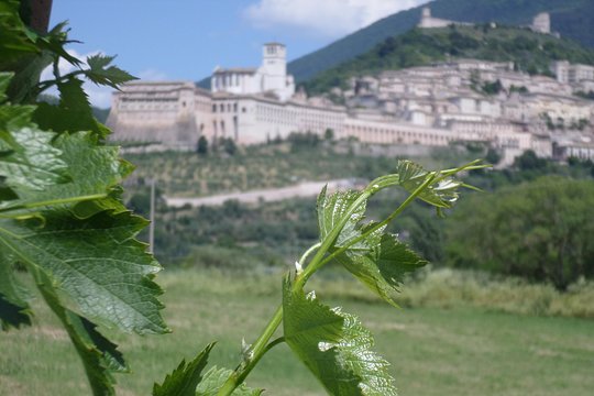 Tour image 2