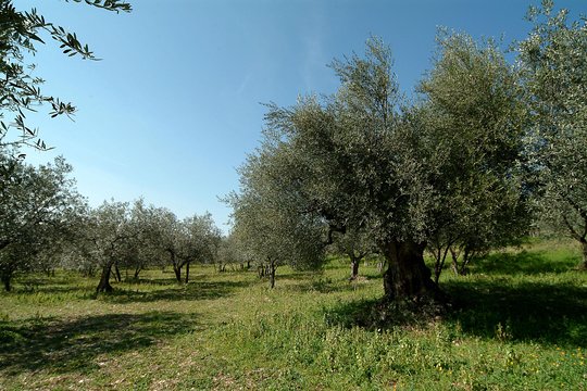 Tour image 3