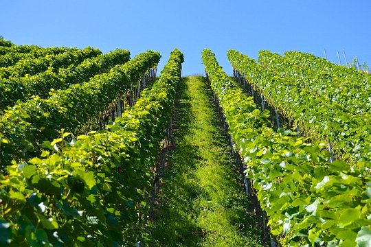 Tour image 4