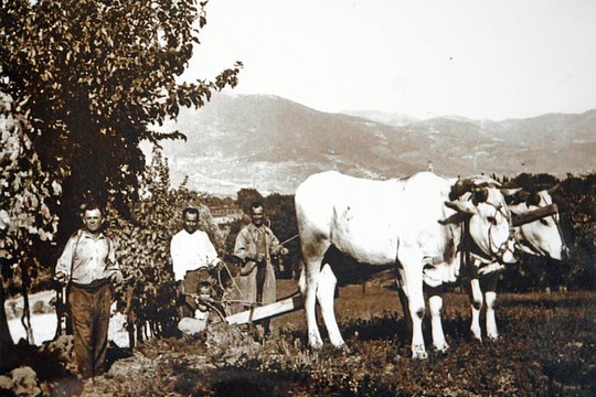 Tour image 13