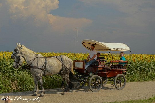 Tour image 3