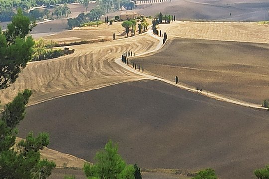 Tour image 6